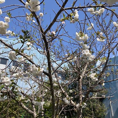 Narita Airport Samurai Hostel Kujukuri Dış mekan fotoğraf